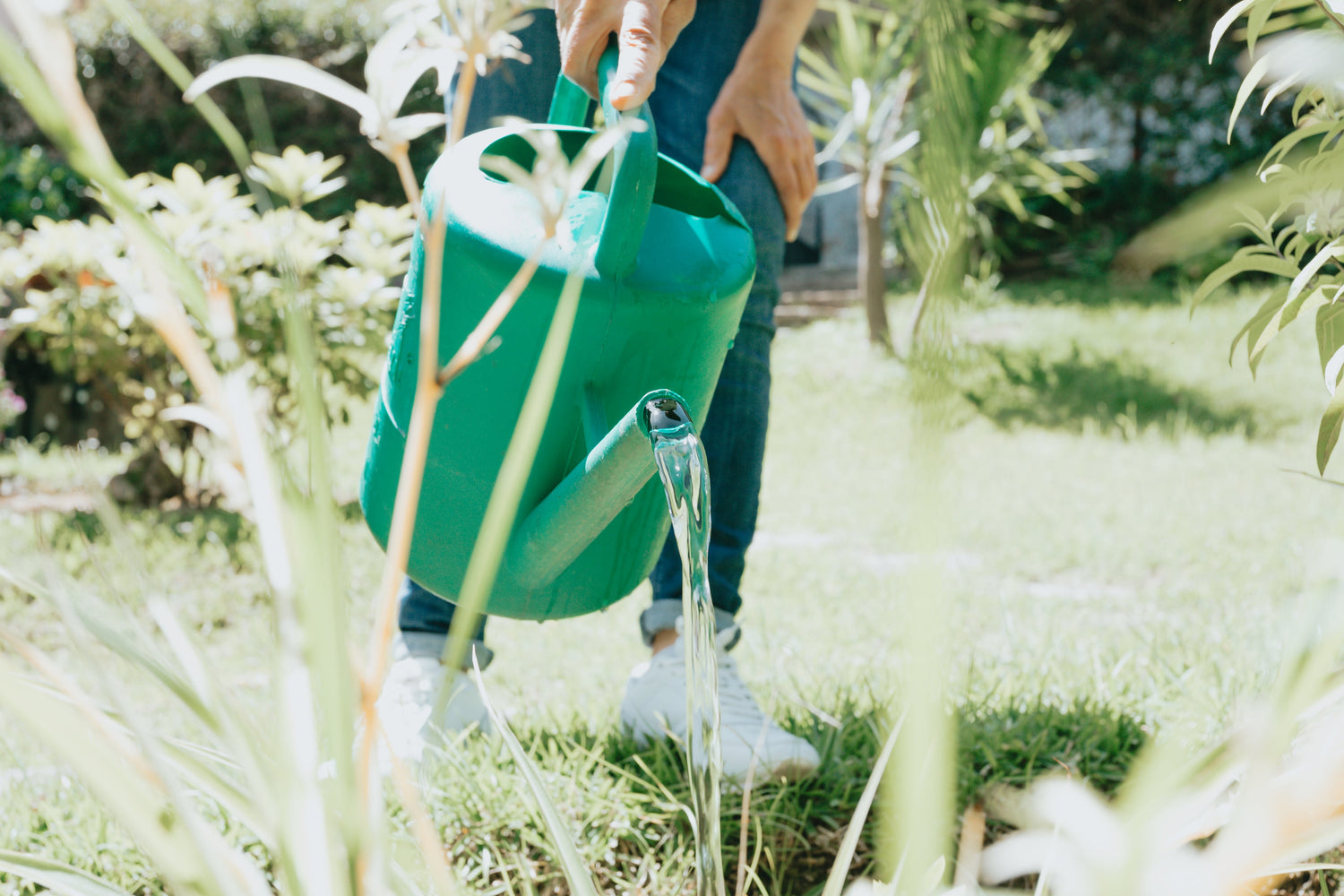 Nursery Containers