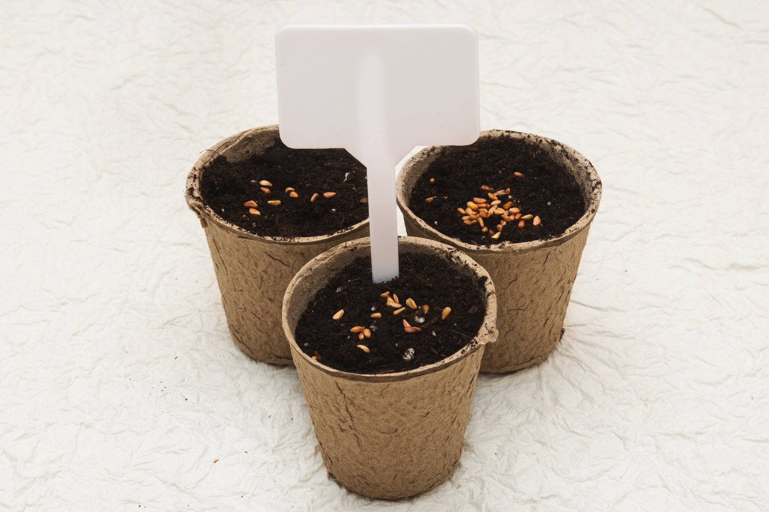 Bell Pots